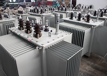 贺州S9-160KVA/10KV油浸式电力变压器